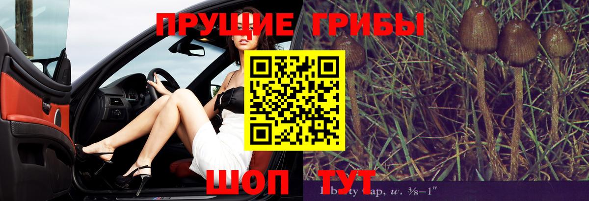 Галлюциногенные грибы GOLDEN TEACHER  Вход с VPN  Кстово 