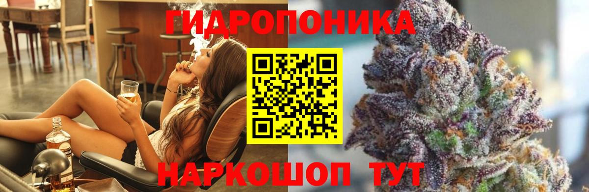 Бошки Шишки сатива Кстово